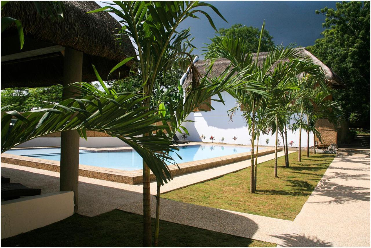 Hotel Panglao Bamboo Oasis Exterior foto